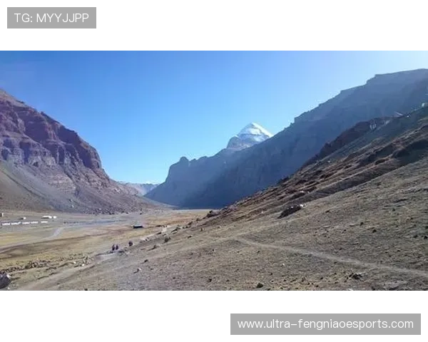 足球巨星阿里赛场辉煌与人生旅程全景解读